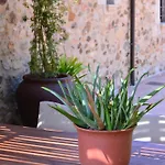Mas Salvador Rural Experience Prázdninový dům Llagostera