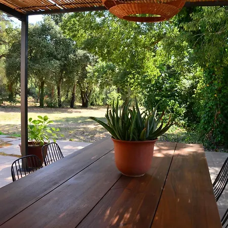 Mas Salvador Rural Experience Льягостера