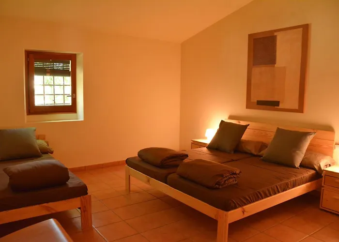 Дом отдыха Mas Salvador Rural Experience Льягостера
